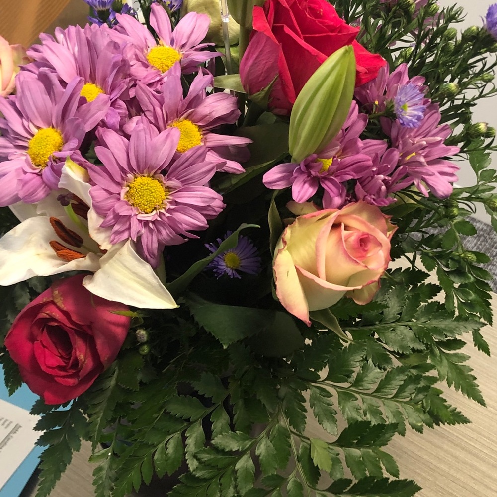 Meet your Posher, Caroline